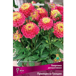 ������ ������ �������� ������������ ��������� ������ (1 ��.)   ����