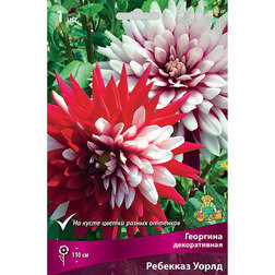 ������ ������ �������� ������������ �������� ����� (1 ��.)   ����