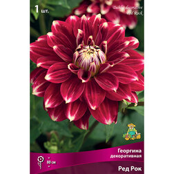 ������ ������ �������� ������������ ��� ��� (1 ��.)   ����