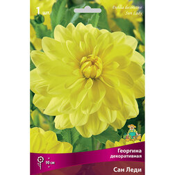 ������ ������ �������� ������������ ��� ���� (1 ��.)   ����