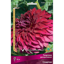 ������ ������ �������� ������������ ������� (1 ��.)   ����