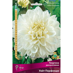 ������ ������ �������� ������������ ���� �������� (1 ��.)   ����