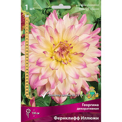 ������ ������ �������� ������������ ��������� ������ (1 ��.)   ����