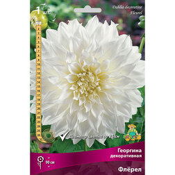 ������ ������ �������� ������������ ����� (1 ��.)   ����