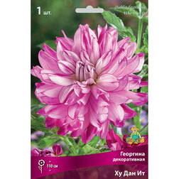 ������ ������ �������� ������������ �� ��� �� (1 ��.)   ����