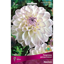 ������ ������ �������� ������������ ������ (1 ��.)   ����