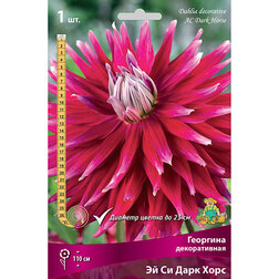 ������ ������ �������� ������������ �� �� ���� ���� (1 ��.)   ����