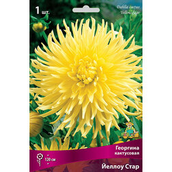 ������ ������ �������� ���������� ������ ���� (1 ��.)   ����