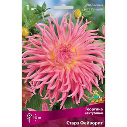 ������ ������ �������� ���������� ����� �������� (1 ��.)   ����