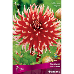 ������ ������ �������� ���������� ������� (1 ��.)   ����