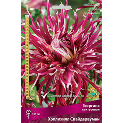 ������ ������ �������� ���������� ��������� ������������ (1 ��.)   ����