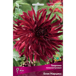 ������ ������ �������� �������������� ���� ������� (1 ��.)   ����