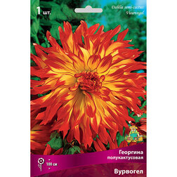 ������ ������ �������� �������������� �������� (1 ��.)   ����