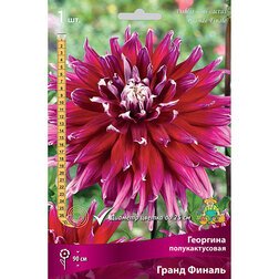 ������ ������ �������� �������������� ����� ������ (1 ��.)   ����