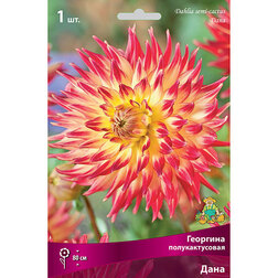 ������ ������ �������� �������������� ���� (1 ��.)   ����