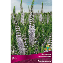 ������ ������ �������� ������������� ����������   ����