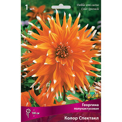 ������ ������ �������� �������������� ����� �������� (1 ��.)   ����