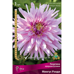 ������ ������ �������� �������������� ������ ����� (1 ��.)   ����