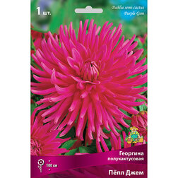 ������ ������ �������� �������������� ϸ�� ���� (1 ��.)   ����