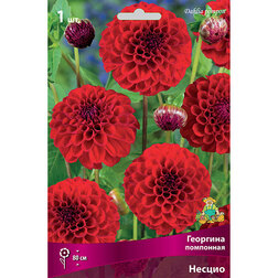 ������ ������ �������� ��������� ������ (1 ��.)   ����