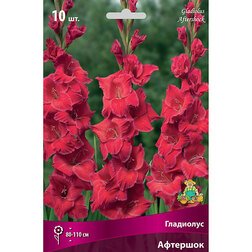 ������ ������ ��������� ��������������� �������� (10 ��.)   ����