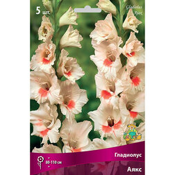 ������ ������ ��������� ��������������� ���� (5 ��.)   ����