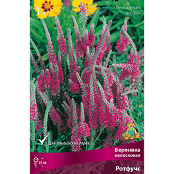 ������ ������ �������� ���������� �������   ����