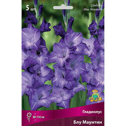 ������ ������ ��������� ��������������� ��� ������� (5 ��.)   ����