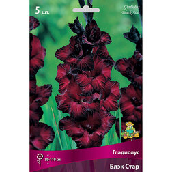 ������ ������ ��������� ��������������� ���� ���� (5 ��.)   ����