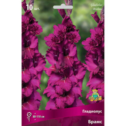 ������ ������ ��������� ��������������� ����� (10 ��.)   ����