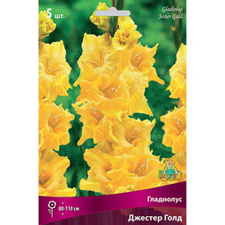 ������ ������ ��������� ��������������� ������� ���� (5 ��.)   ����