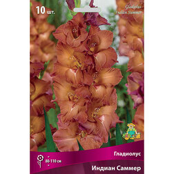 ������ ������ ��������� ��������������� ������ ������ (10 ��.)   ����