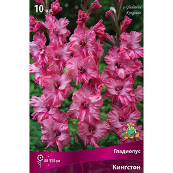 ������ ������ ��������� ��������������� �������� (10 ��.)   ����