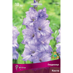 ������ ������ ��������� ��������������� ����� (10 ��.)   ����