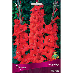 ������ ������ ��������� ��������������� ����� (5 ��.)   ����