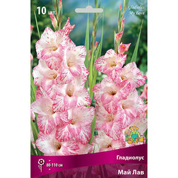 ������ ������ ��������� ��������������� ��� ��� (10 ��.)   ����