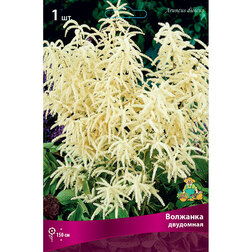 ������ ������ �������� ���������   ����