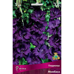 ������ ������ ��������� ��������������� ������� (5 ��.)   ����