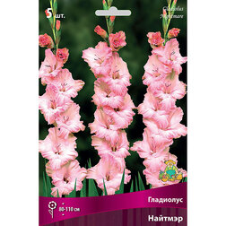 ������ ������ ��������� ��������������� ������� (5 ��.)   ����