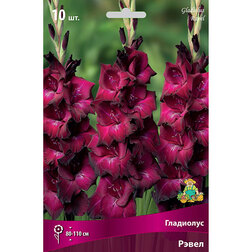 ������ ������ ��������� ��������������� ����� (10 ��.)   ����