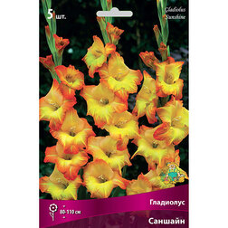 ������ ������ ��������� ��������������� ������� (5 ��.)   ����