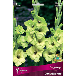 ������ ������ ��������� ��������������� ���������� (5 ��.)   ����