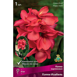 ������ ������ ����� ���������� ����� ������� (1 ��.)   ����