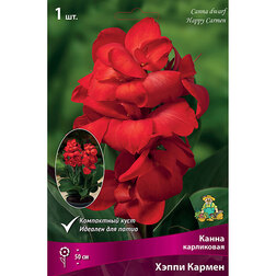 ������ ������ ����� ���������� ����� ������ (1 ��.)   ����