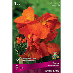 ������ ������ ����� ���������� ����� ���� (1 ��.)   ����