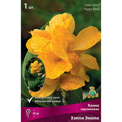 ������ ������ ����� ���������� ����� ����� (1 ��.)   ����