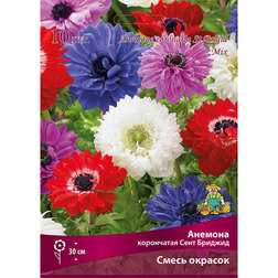 ������ ������ ������� ���������� ���� ������� ����� ������� (10 ��.)   ����