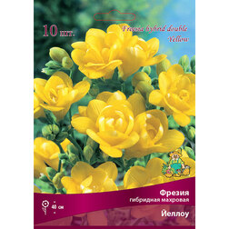 ������ ������ ������ ��������� �������� ������ (10 ��.)   ����