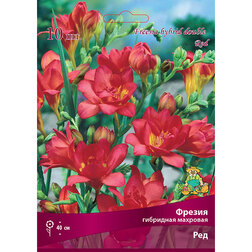 ������ ������ ������ ��������� �������� ��� (10 ��.)   ����