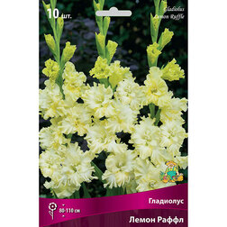 ������ ������ ��������� ������������� ����� ����� (10 ��.)   ����